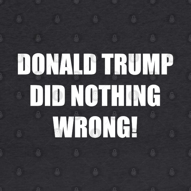 Donald trump did nothing wrong! by slawers